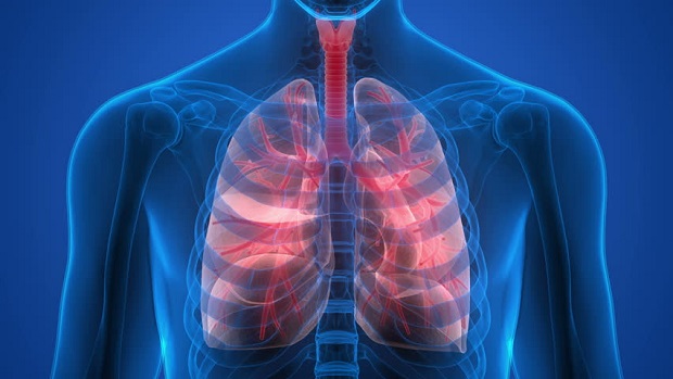 Mách bạn những cách giúp phổi của bạn luôn khỏe mạnh mỗi ngày