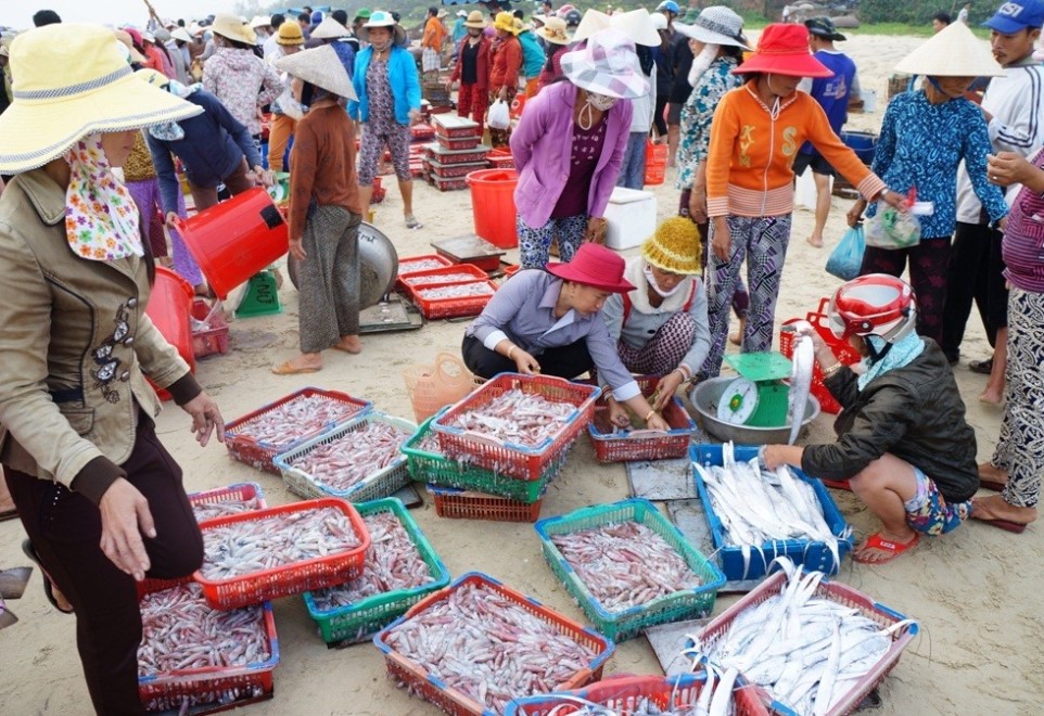 300 tấn hải sản được hỗ trợ thu mua và tiêu thụ ở nhiều nơi